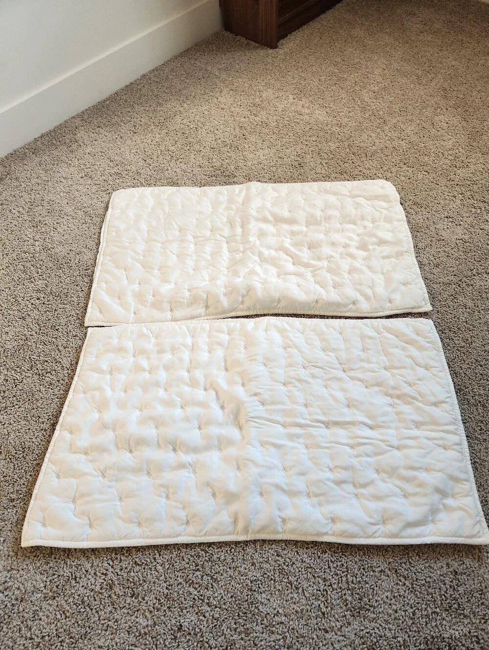 Quince Bamboo Dream Sham Set Of 2 Shams King